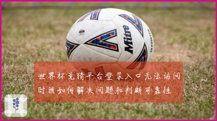 世界杯竞猜平台登录入口无法访问时该如何解决问题和判断可靠性