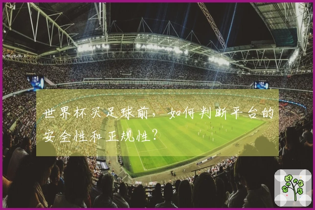 世界杯买足球前，如何判断平台的安全性和正规性？