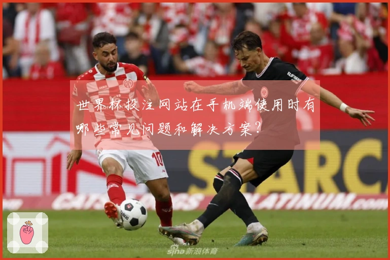 世界杯投注网站在手机端使用时有哪些常见问题和解决方案？