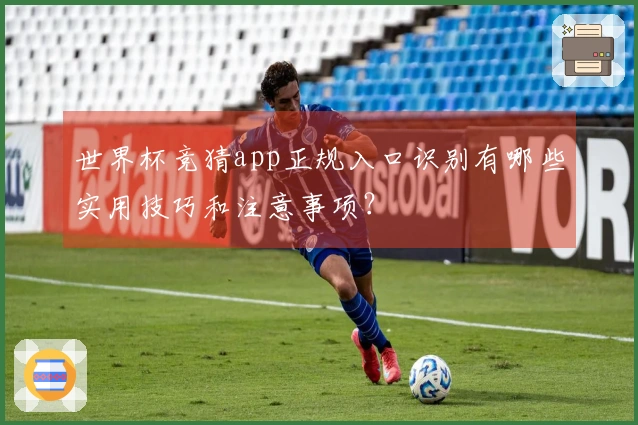 世界杯竞猜app正规入口识别有哪些实用技巧和注意事项？