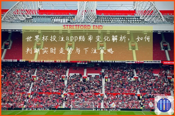世界杯投注app赔率变化解析，如何判断实时走势与下注策略