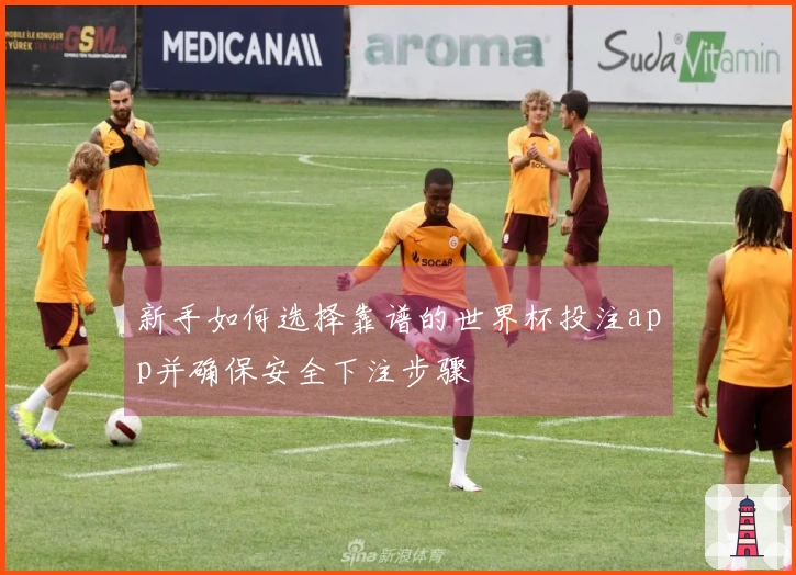 新手如何选择靠谱的世界杯投注app并确保安全下注步骤
