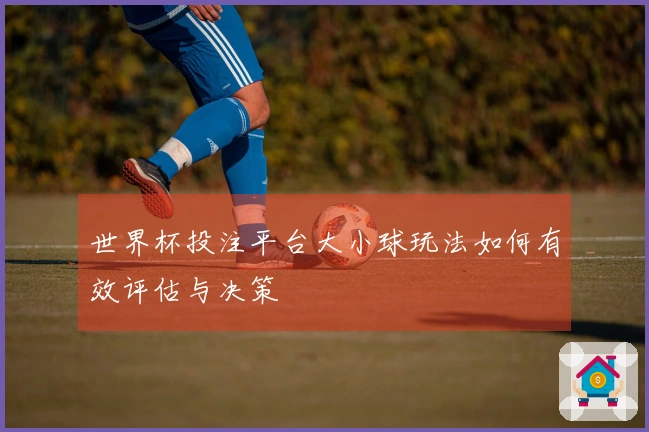世界杯投注平台大小球玩法如何有效评估与决策