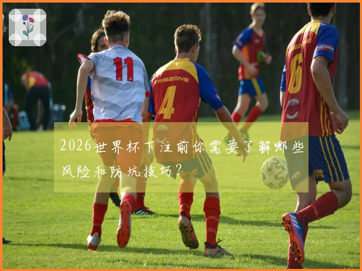 2026世界杯下注前你需要了解哪些风险和防坑技巧？