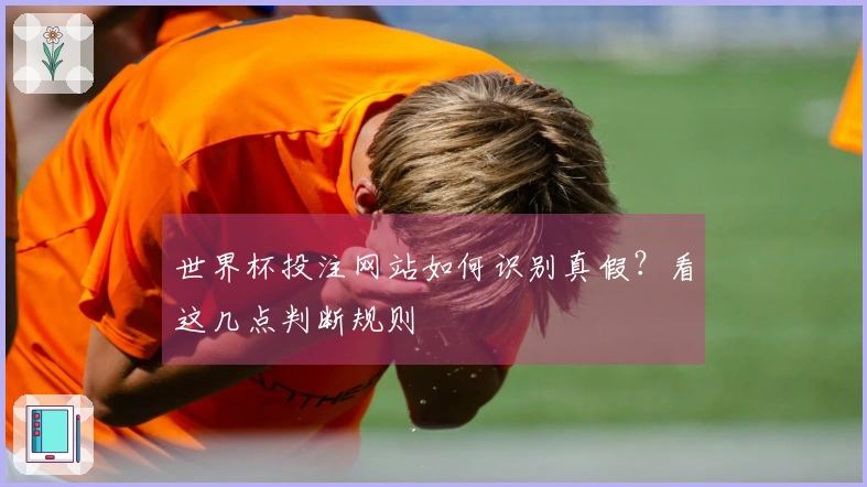 世界杯投注网站如何识别真假？看这几点判断规则