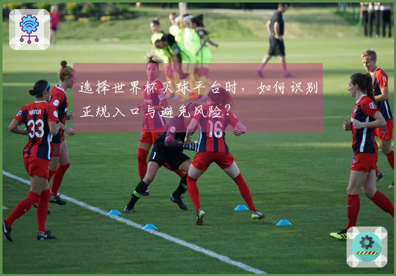 选择世界杯买球平台时，如何识别正规入口与避免风险？