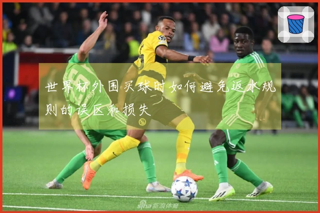 世界杯外围买球时如何避免返水规则的误区和损失
