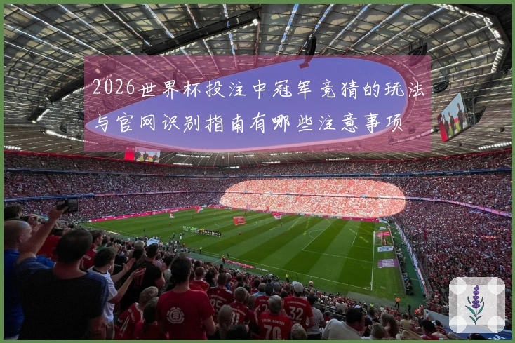 2026世界杯投注中冠军竞猜的玩法与官网识别指南有哪些注意事项