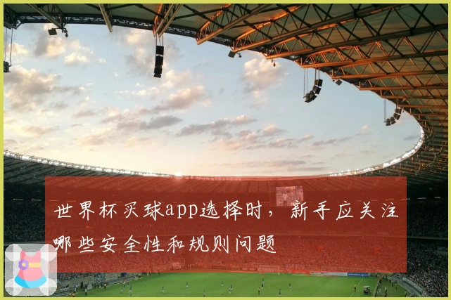 世界杯买球app选择时，新手应关注哪些安全性和规则问题