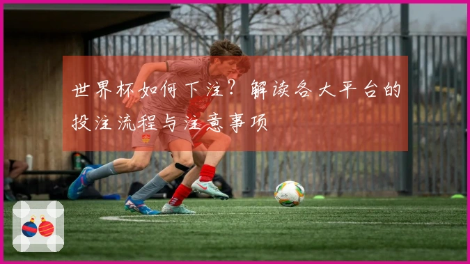 世界杯如何下注？解读各大平台的投注流程与注意事项
