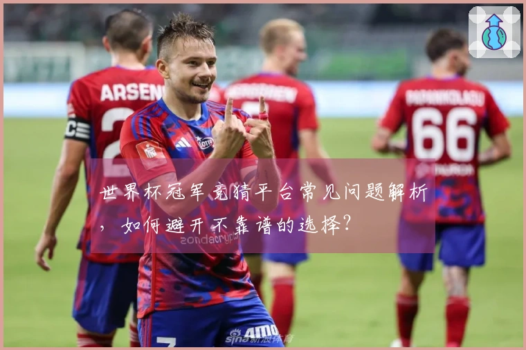 世界杯冠军竞猜平台常见问题解析，如何避开不靠谱的选择？