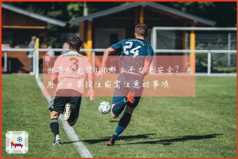 世界杯竞猜app哪个平台更安全？老用户分享投注前需注意的事项