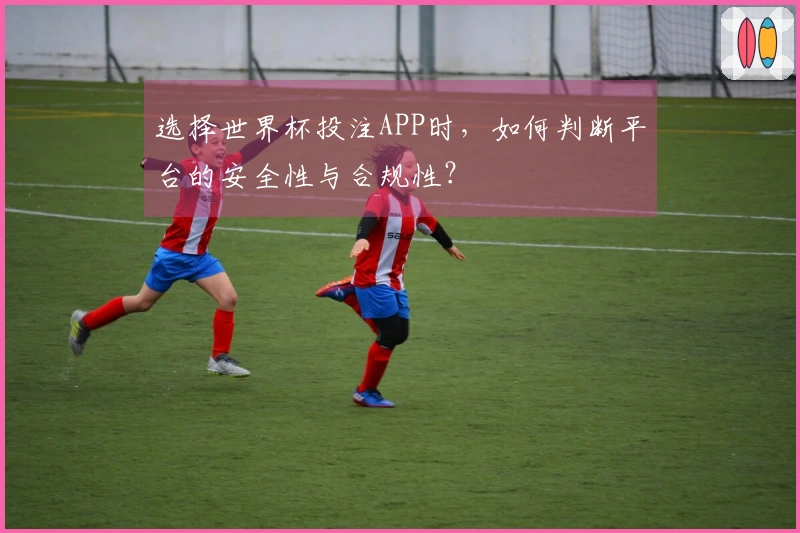选择世界杯投注APP时，如何判断平台的安全性与合规性？
