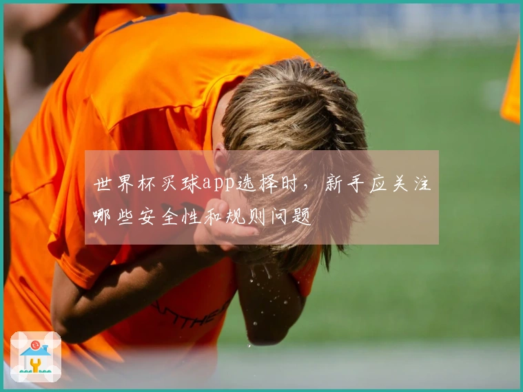 世界杯买球app选择时，新手应关注哪些安全性和规则问题