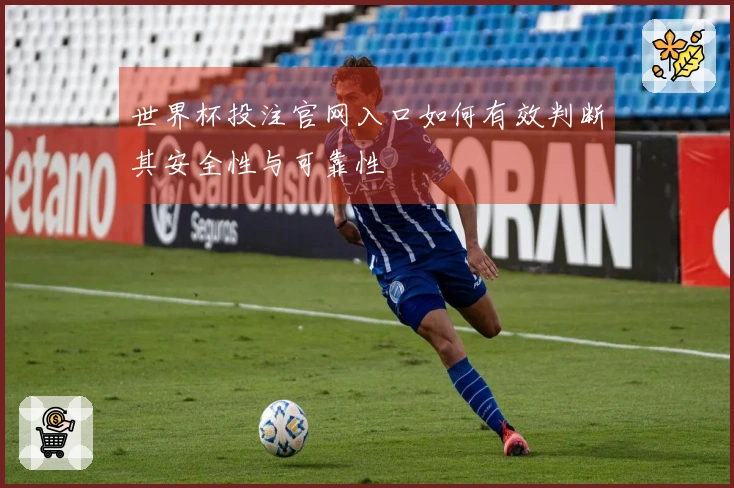 世界杯投注官网入口如何有效判断其安全性与可靠性