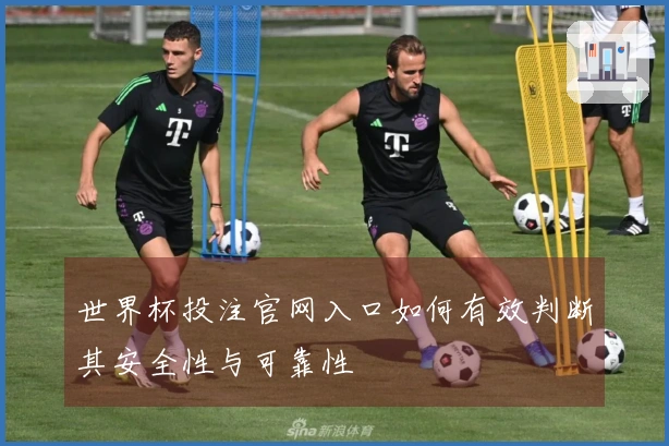 世界杯投注官网入口如何有效判断其安全性与可靠性
