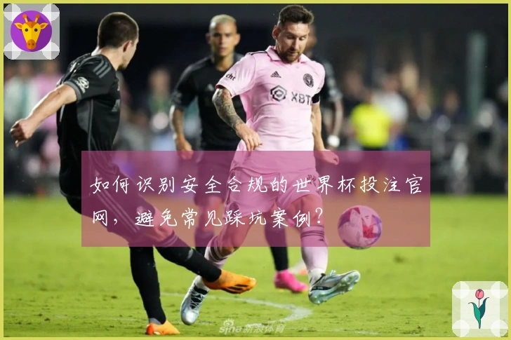 如何识别安全合规的世界杯投注官网，避免常见踩坑案例？