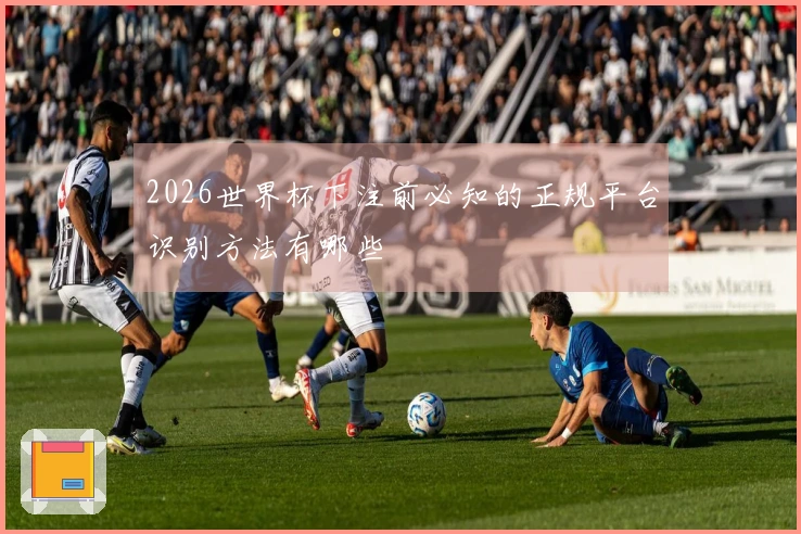 2026世界杯下注前必知的正规平台识别方法有哪些