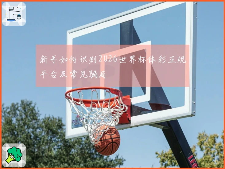 新手如何识别2026世界杯体彩正规平台及常见骗局