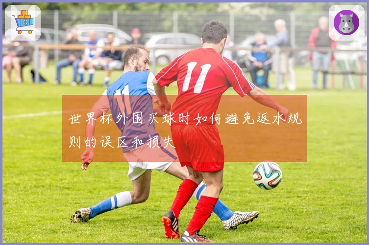 世界杯外围买球时如何避免返水规则的误区和损失