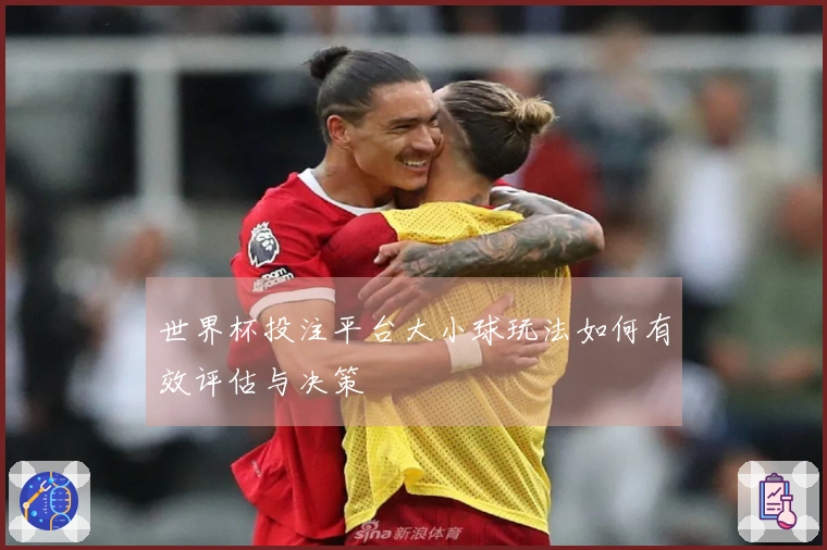 世界杯投注平台大小球玩法如何有效评估与决策
