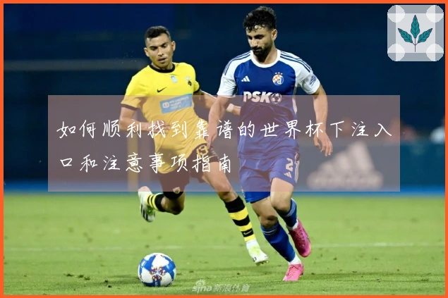如何顺利找到靠谱的世界杯下注入口和注意事项指南