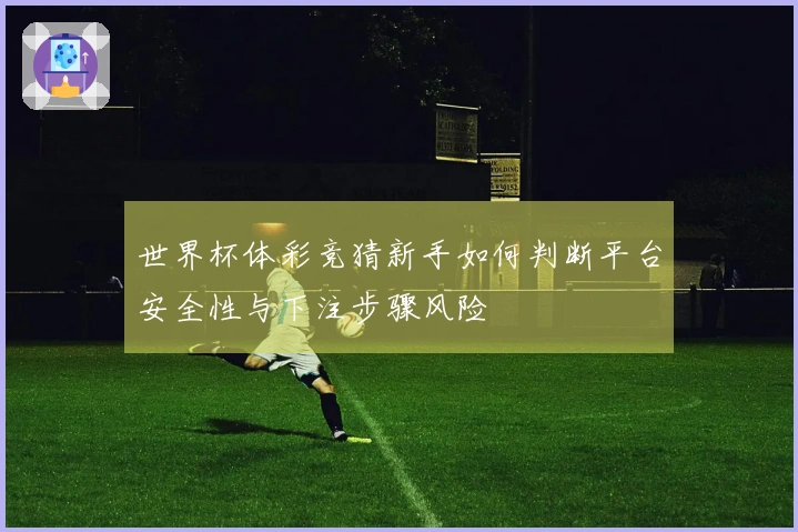 世界杯体彩竞猜新手如何判断平台安全性与下注步骤风险